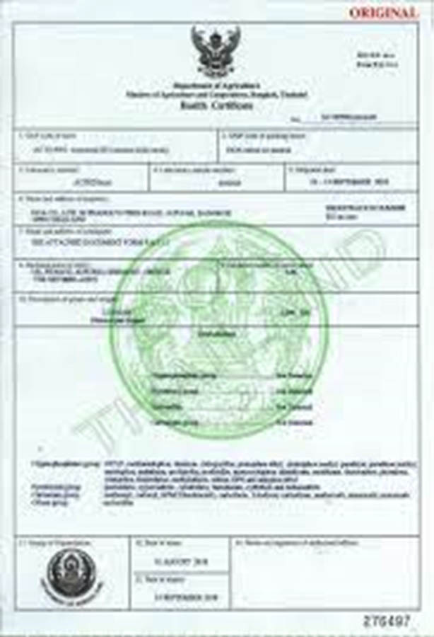 ใบรับรองสุขอนามัยพืช